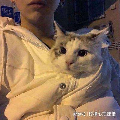 揽获四项艾普兰大奖！TCL实业携...